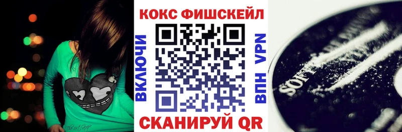 Купить закладки  Катав-Ивановск  Кокаин Fish Scale 