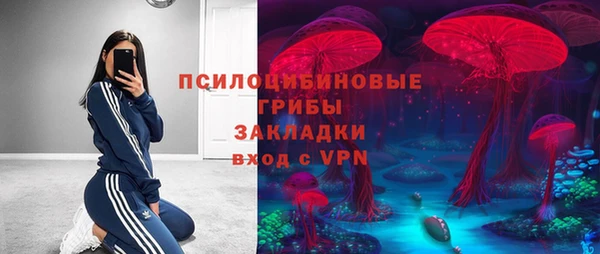 прущие крисы Михайлов