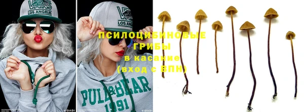 гидропоника Михайловка